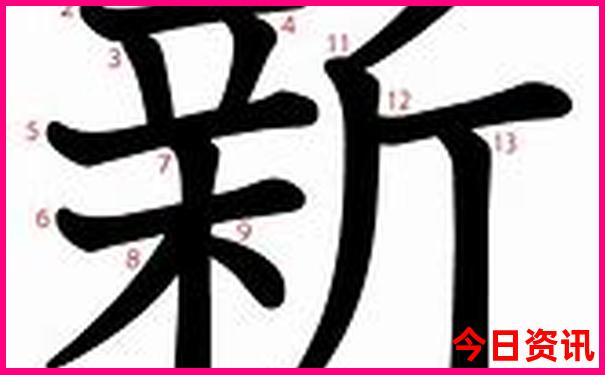 成都哪个海洋馆最大最好玩的地方